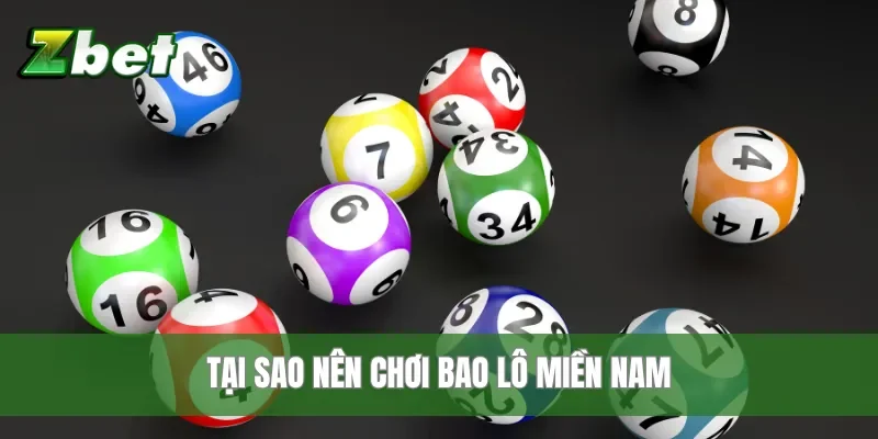 Tại sao nên chơi bao lô miền Nam