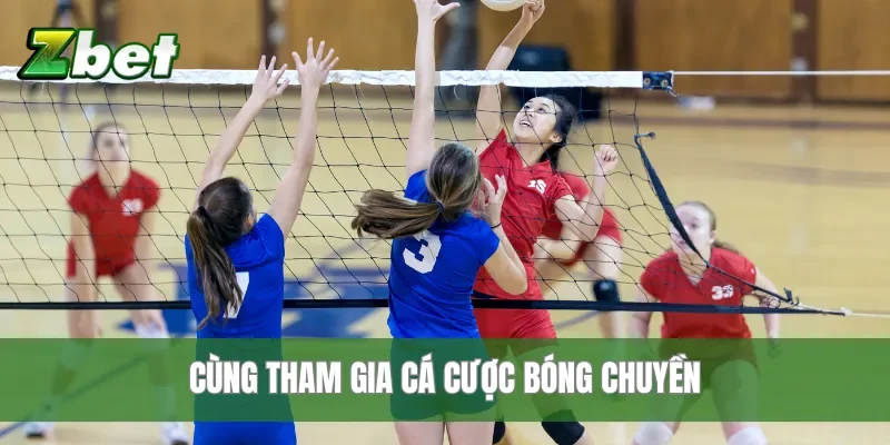 Cùng tham gia cá cược bóng chuyền