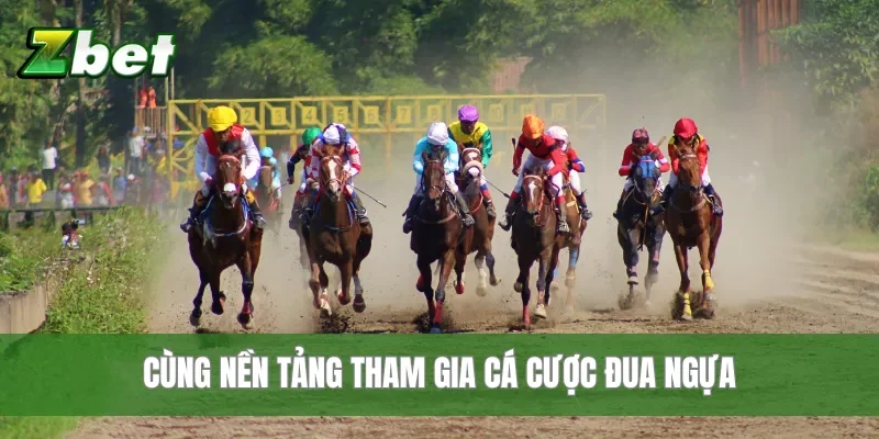 Cùng nền tảng tham gia cá cược đua ngựa