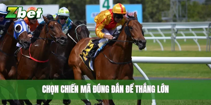 Chọn chiến mã đúng đắn để thắng lớn