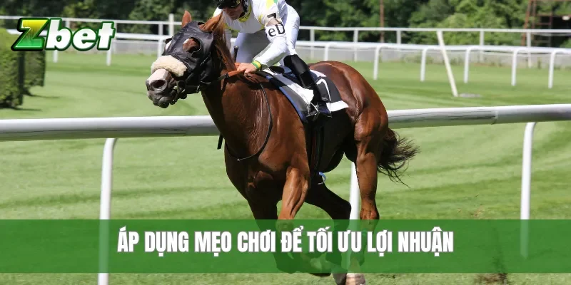 Áp dụng mẹo chơi để tối ưu lợi nhuận