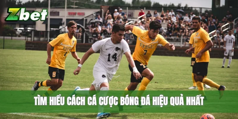 Tìm hiểu cách cá cược bóng đá hiệu quả nhất