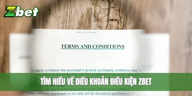 Tìm hiểu về điều khoản điều kiện Zbet