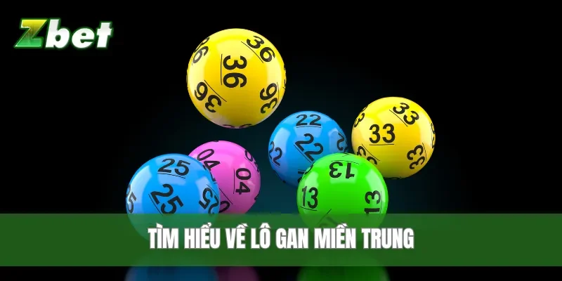 Tìm hiểu về lô gan miền Trung