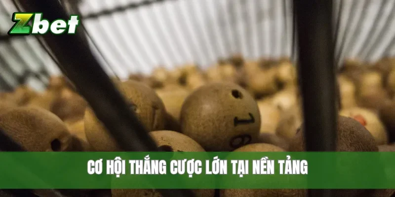 Cơ hội thắng cược lớn tại nền tảng