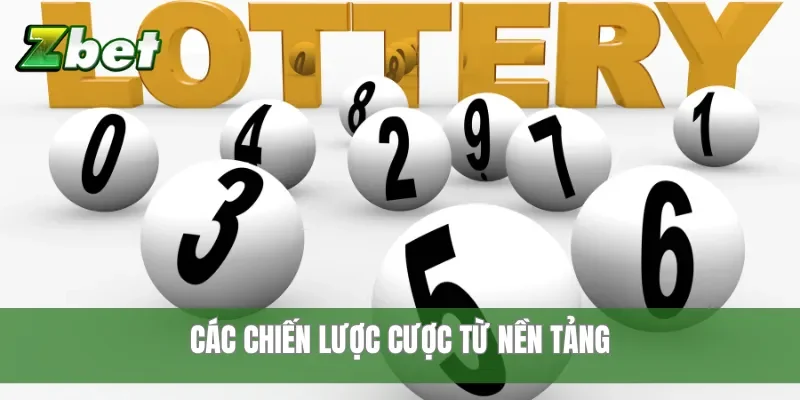 Các chiến lược cược từ nền tảng