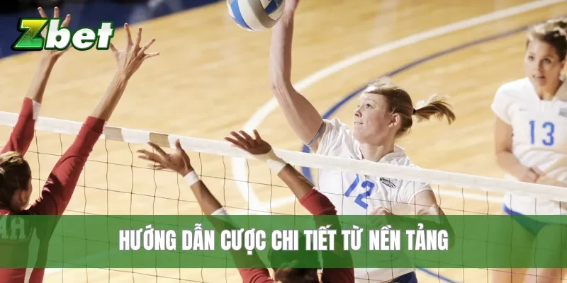 Hướng dẫn cược chi tiết từ nền tảng