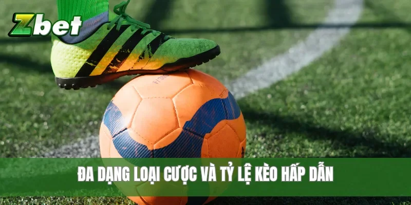 Đa dạng loại cược và tỷ lệ kèo hấp dẫn