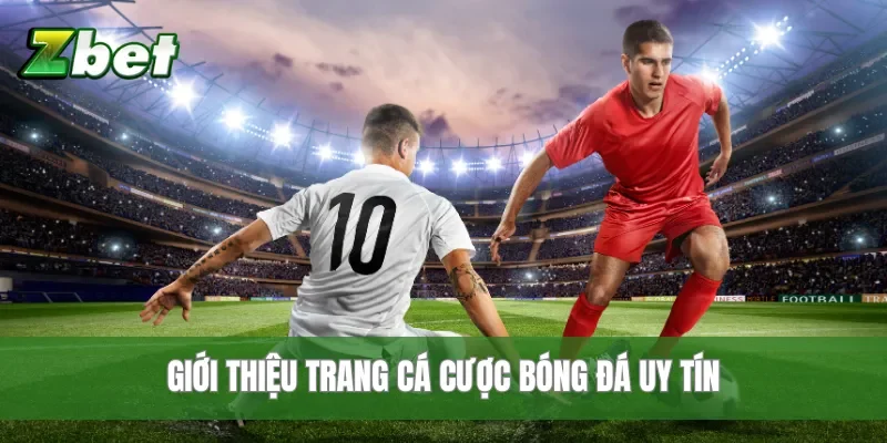 Giới thiệu trang cá cược bóng đá uy tín